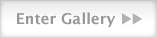 Enter Gallery