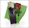 Our Red Roses